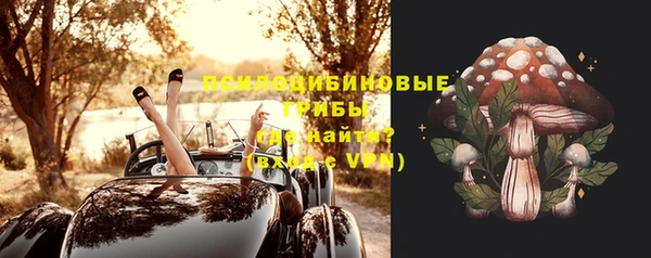 стаф Баксан