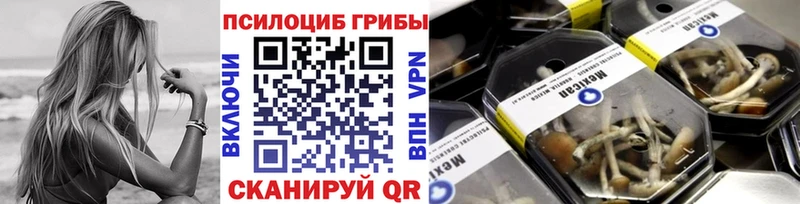 Псилоцибиновые грибы Magic Shrooms где купить Петровск